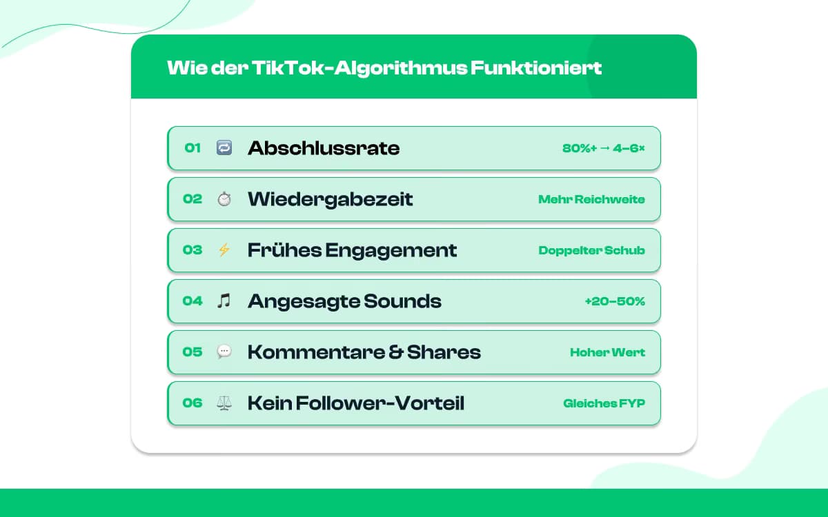 Einblicke in den TikTok-Algorithmus