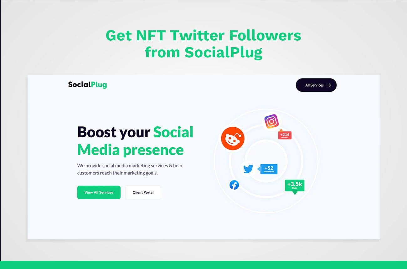 NFT Twitter followers with SocialPlug