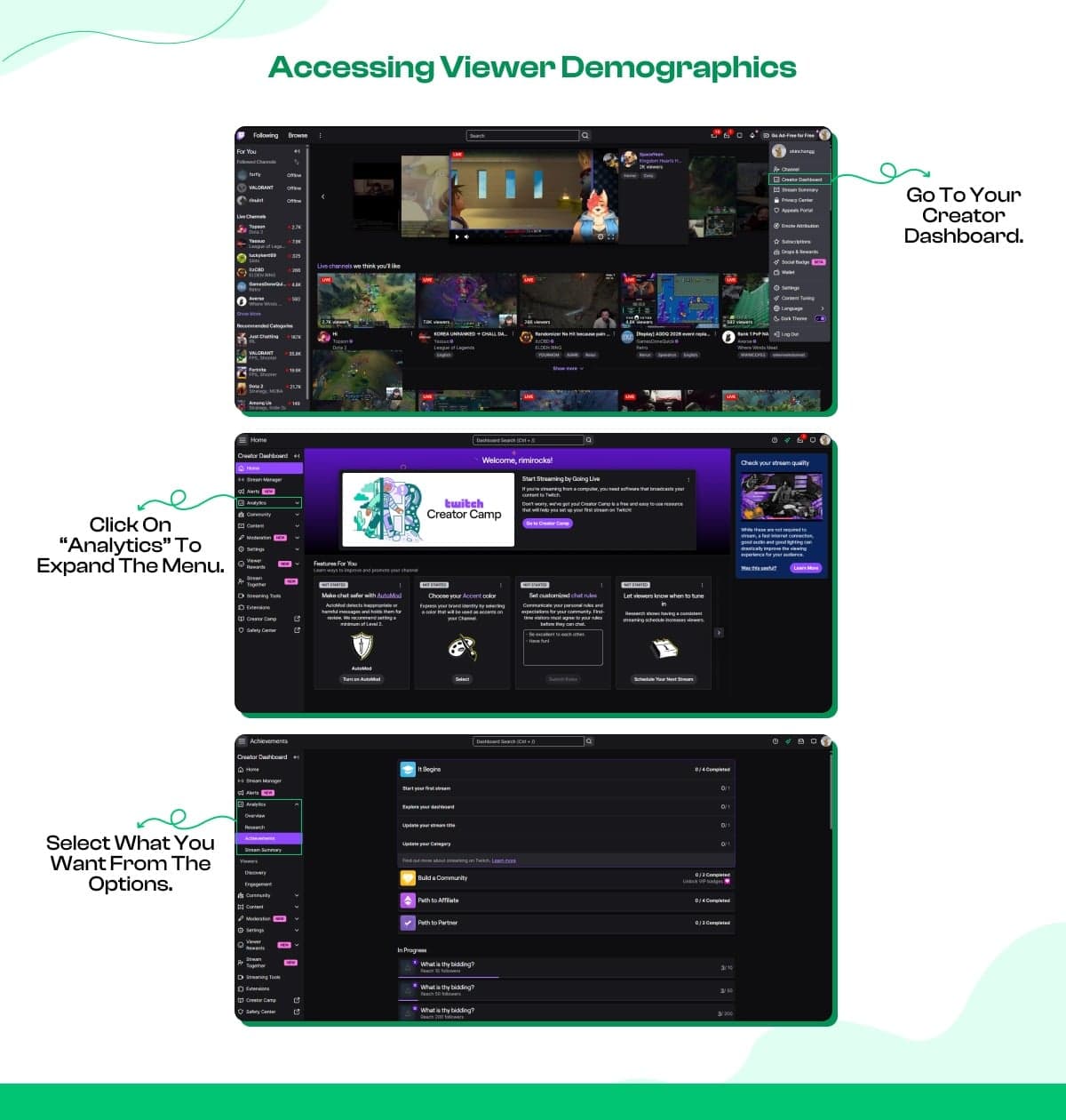 Accessing Viewer Demographics
