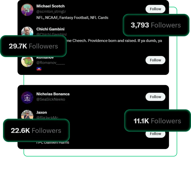 Niche targeted Twitter followers