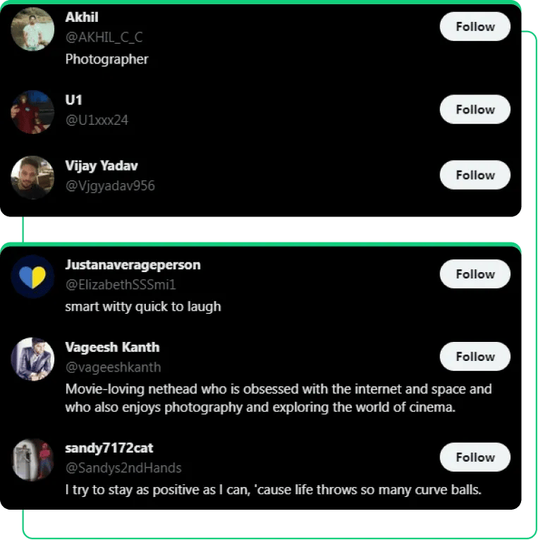 How SocialPlug NFT followers look like when buying Twitter nft automatic engagement