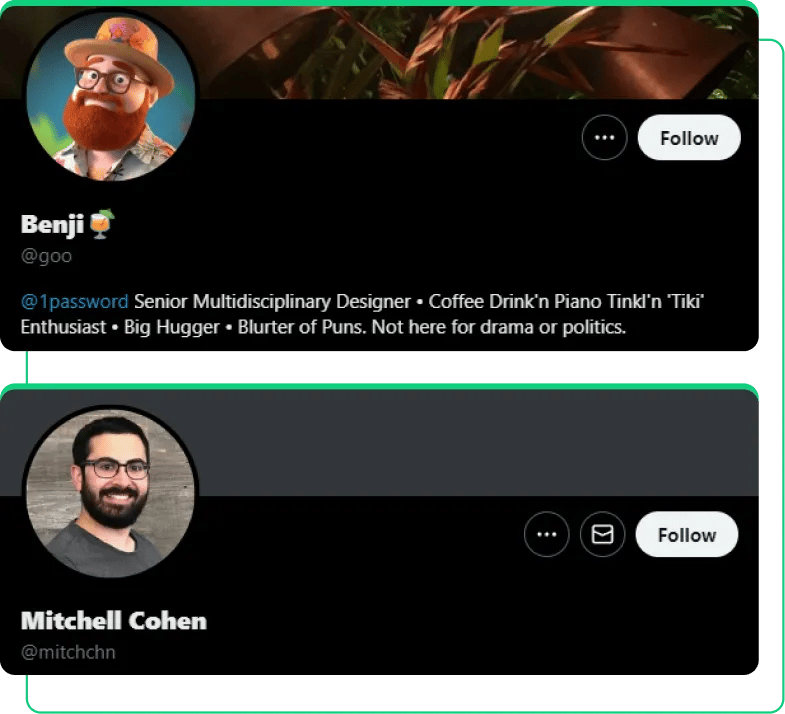 How SocialPlug NFT followers look like when buying Twitter nft automatic engagement