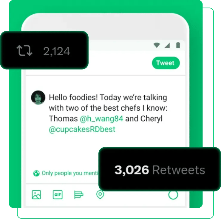 How SocialPlug NFT followers look like when buying Twitter nft automatic engagement