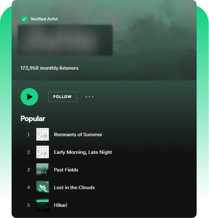 Spotify followers Socialplug profile