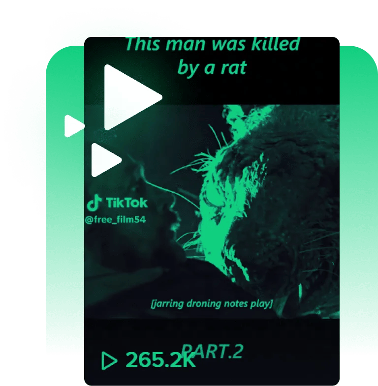 Spotify Playlist followers Socialplug upgrade your playlist right now
