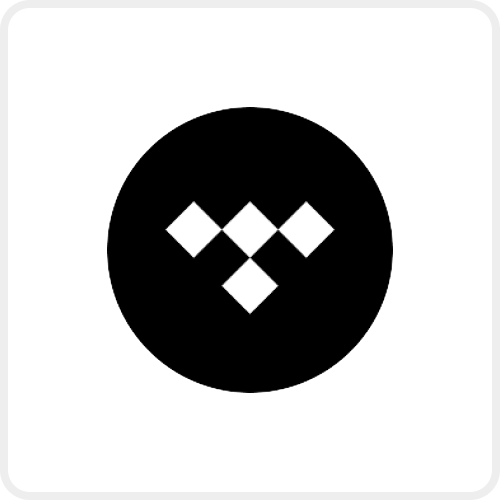 Tidal services icon