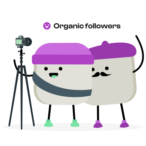 How free twitch followers work