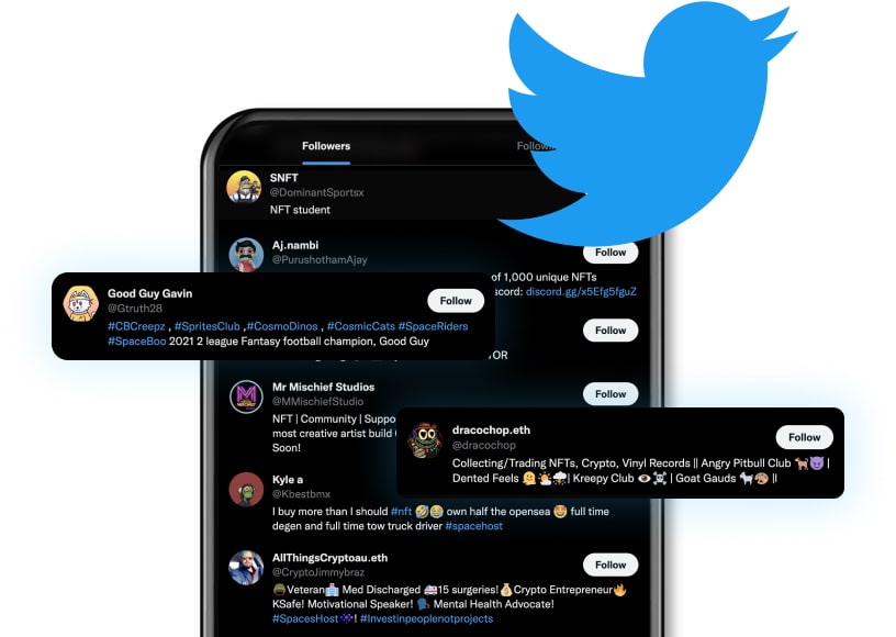 Buy NFT Twitter Followers Socialplug