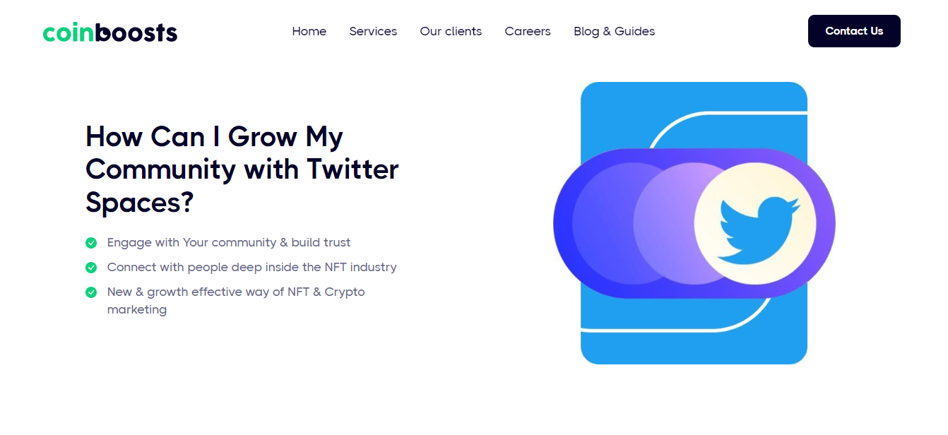 Screenshot of Coinboosts.io "How Can I Grow My Community with Twitter Spaces?" points