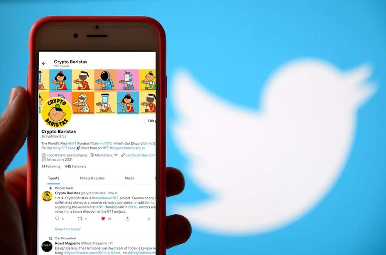 Where to buy NFT Twitter accounts with a high following SocialPlug