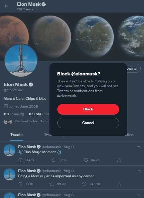 Block Elon Musk on Twitter