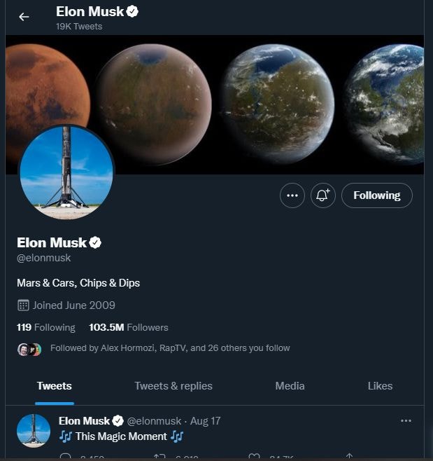 Elon Musk Twitter profile