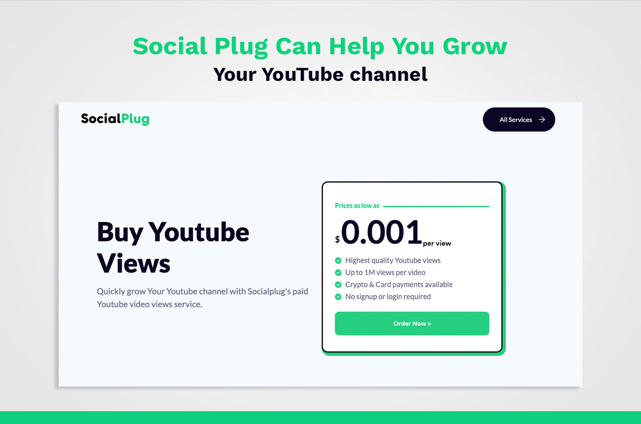 buy youtube views from socialplug