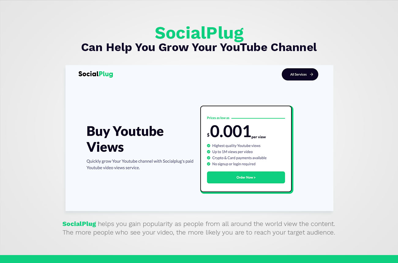 socialplug youtube views