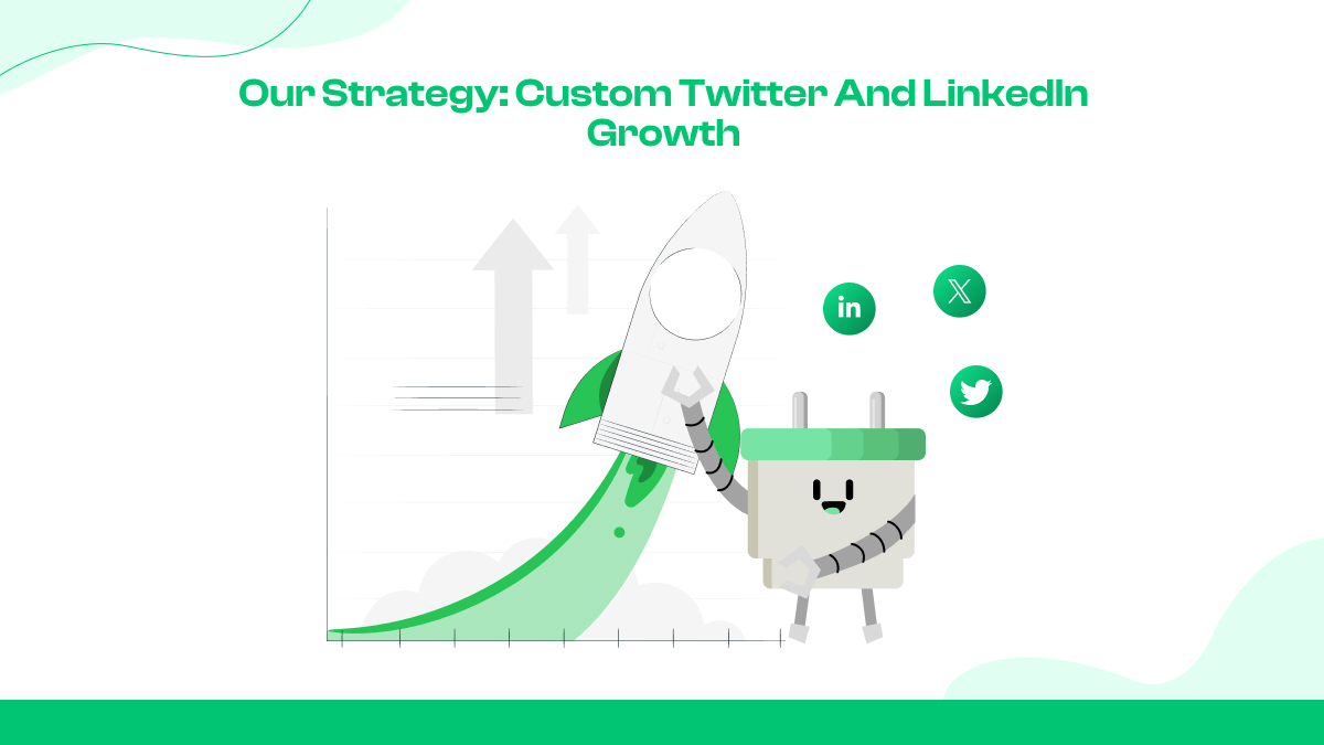 Our Strategy: Custom Twitter and LinkedIn Growth