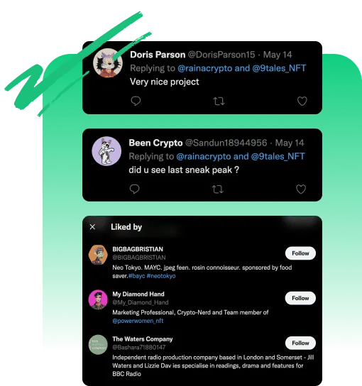 How SocialPlug NFT followers look like when buying Twitter nft automatic engagement