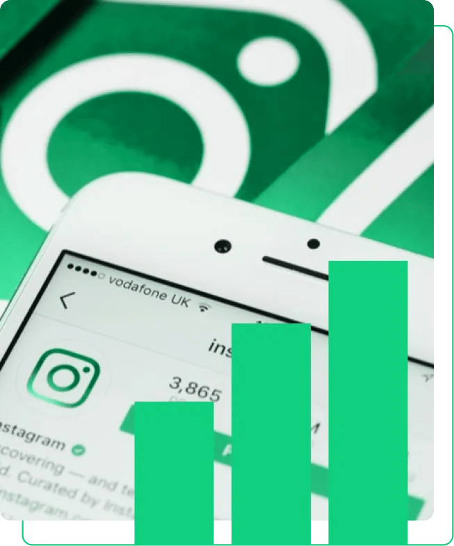 How SocialPlug NFT followers look like when buying Twitter nft automatic engagement