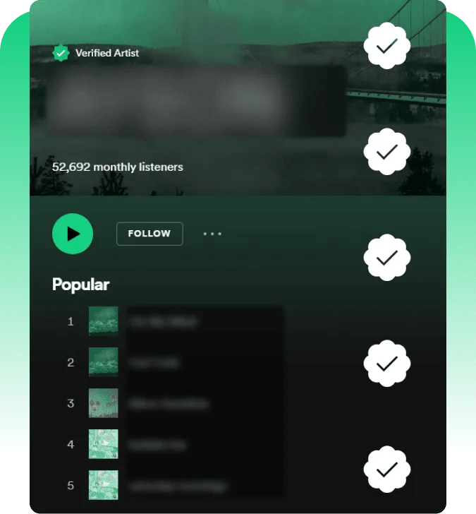 Seguidores do Spotify Adequação do Socialplug