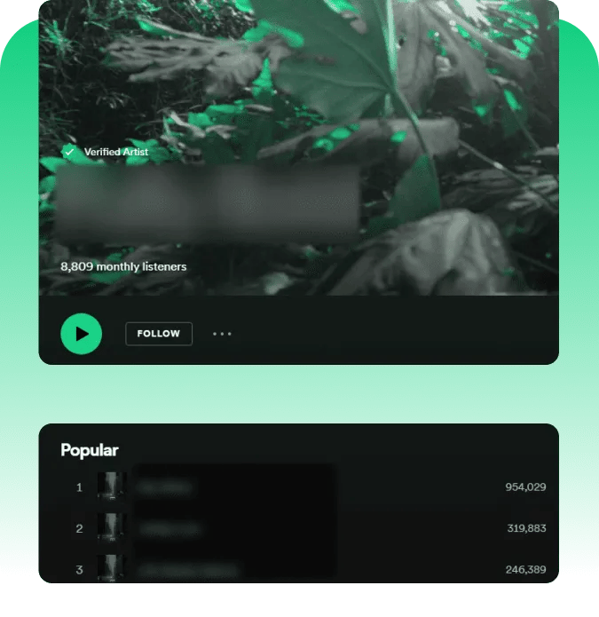 Spotify Plays Socialplug buying plays