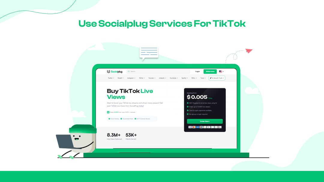 Use Socialplug Services for TikTok