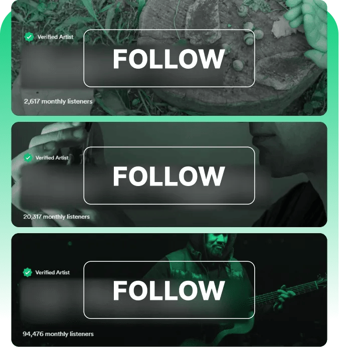 What Are Spotify Followers?