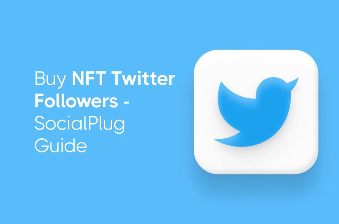 Preguntas frecuentes sobre la compra de seguidores de NFT en Twitter