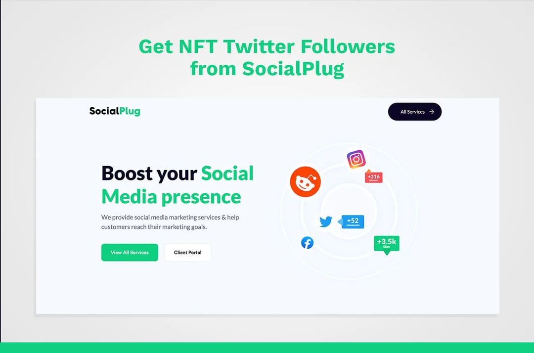 NFT Twitter followers with SocialPlug