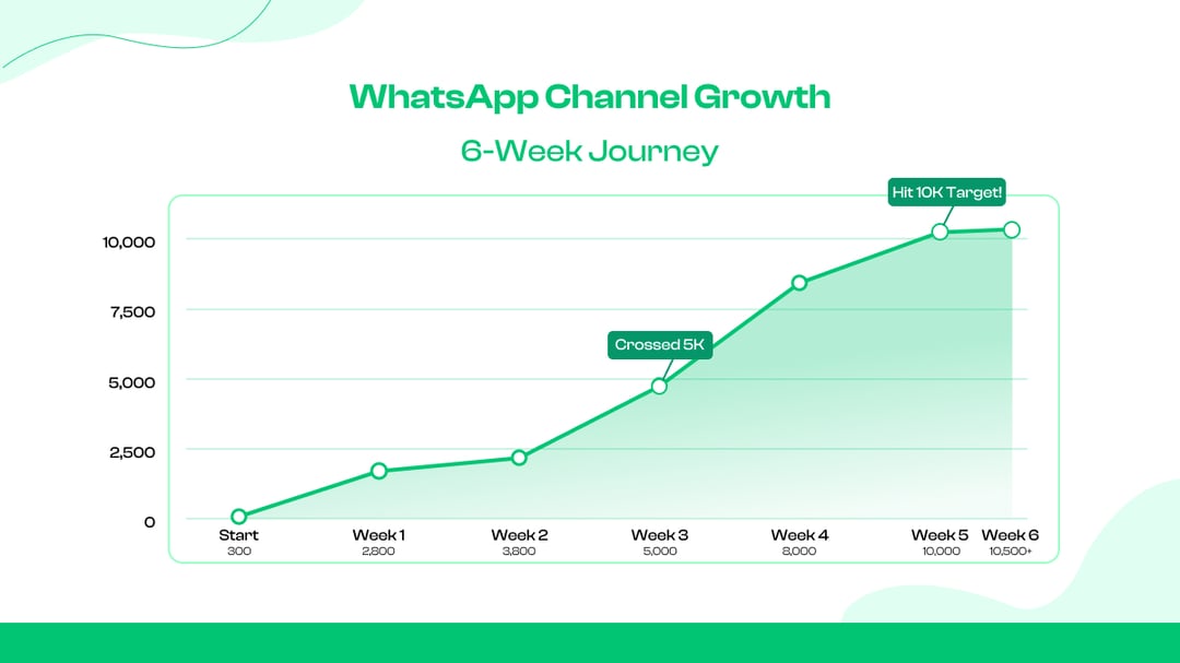 WhatsApp Channel Growth