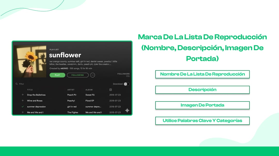  Optimizando tu perfil de Spotify 2