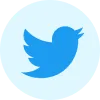 Twitter (X)