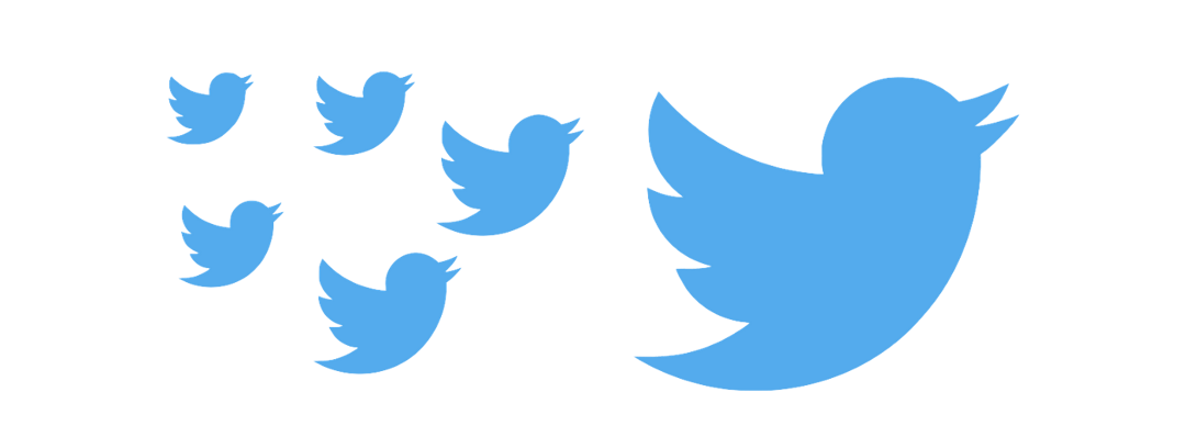 Five smaller Twitter birds following a bigger Twitter bird
