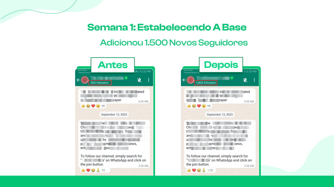 Semana 1: Estabelecendo a base