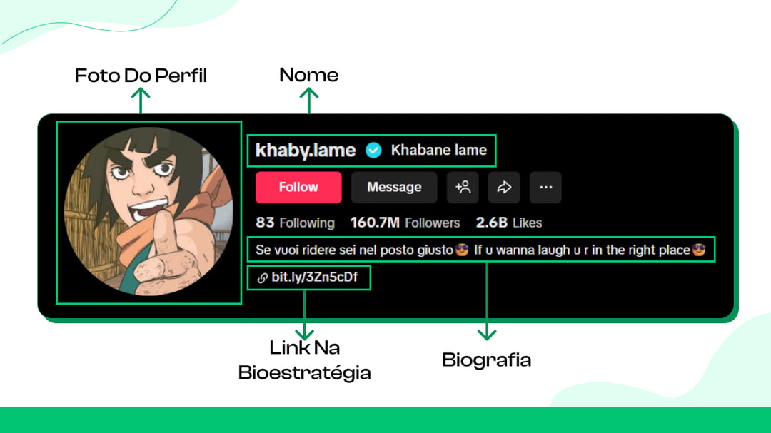 Otimize seu perfil do TikTok para crescer
