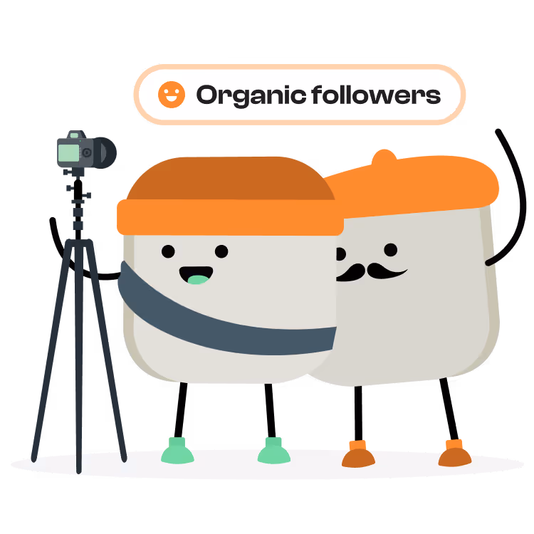 How SocialPlug NFT followers look like when buying Twitter nft automatic engagement