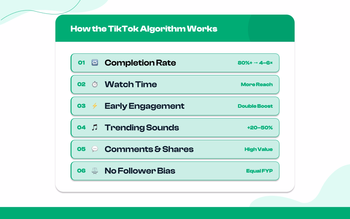 TikTok Algorithm Insights