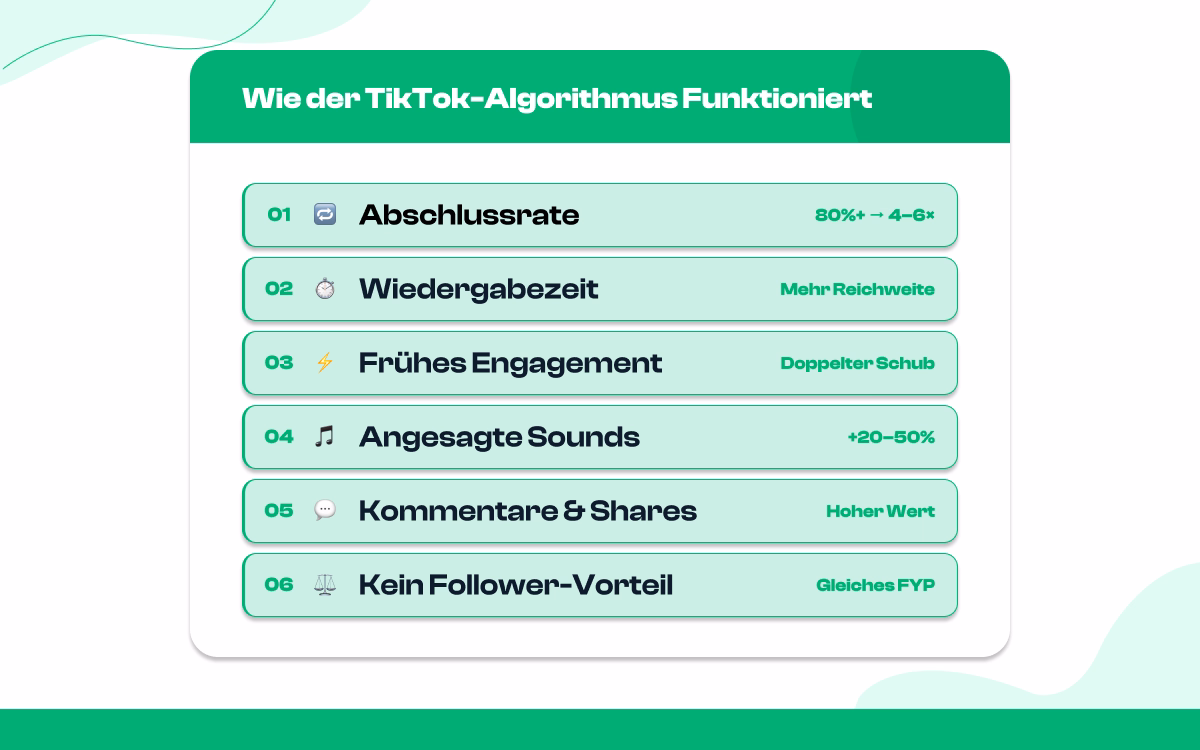 Einblicke in den TikTok-Algorithmus